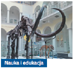 zastosowanie skanera 3D evixscan