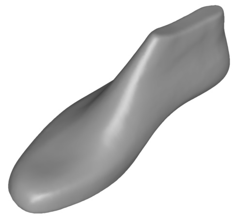 skaner ortopedyczny footin3d
